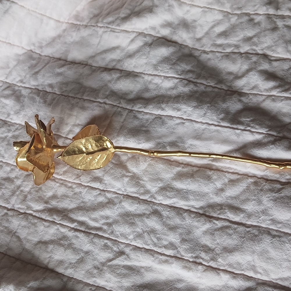 Gold Deeped Natural Rose( Eternal Rose)